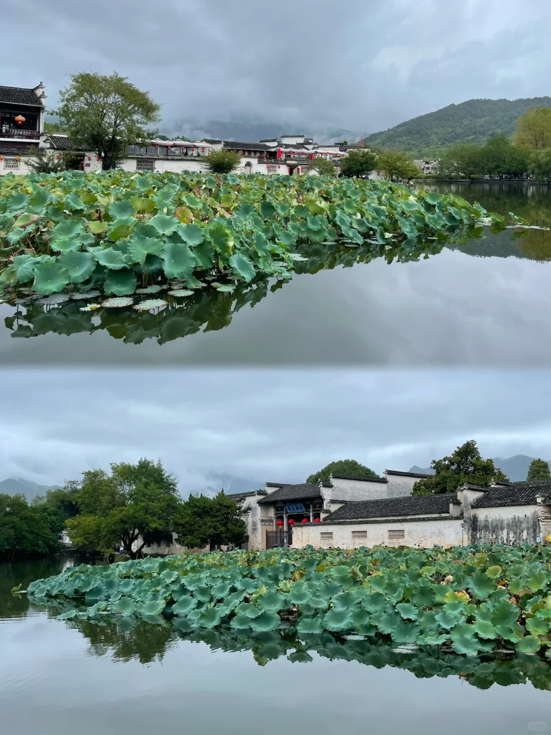 3天2夜｜黄山-宏村-西递 旅游Plog❗️绝对值得