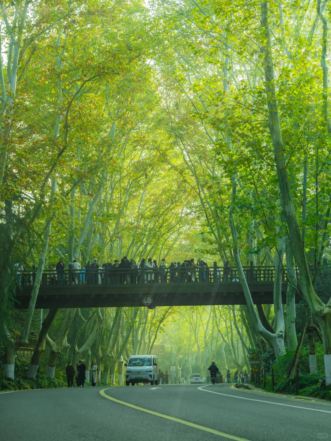 为了这1️⃣8️⃣张图，我特意去了一趟南京🍂