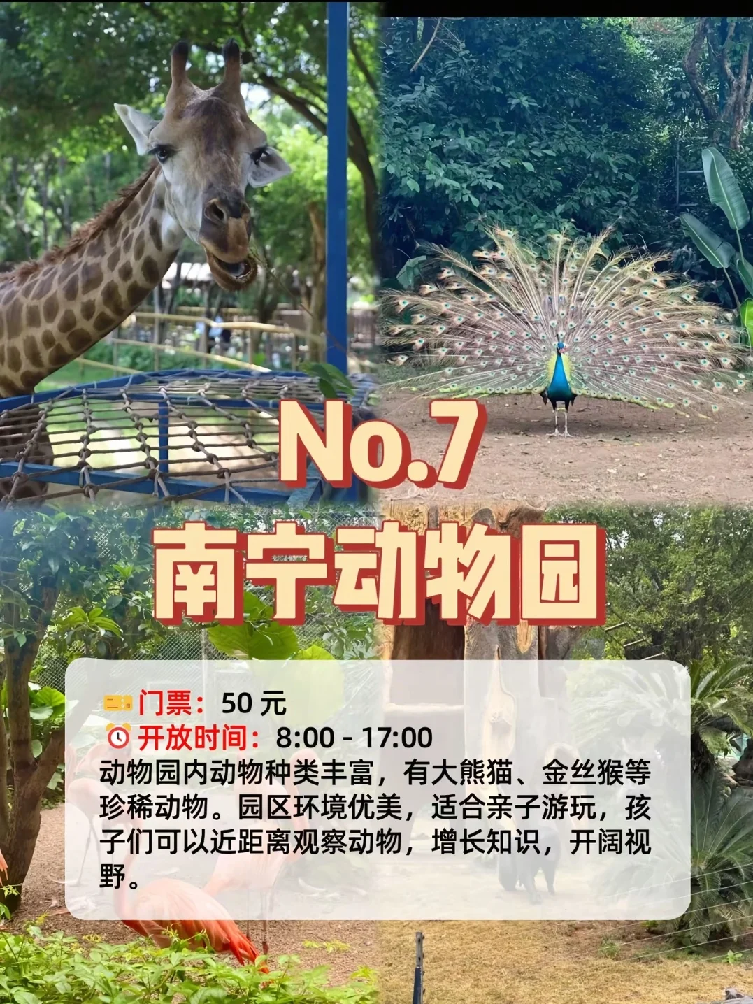 谁说南宁不美了！？！😍