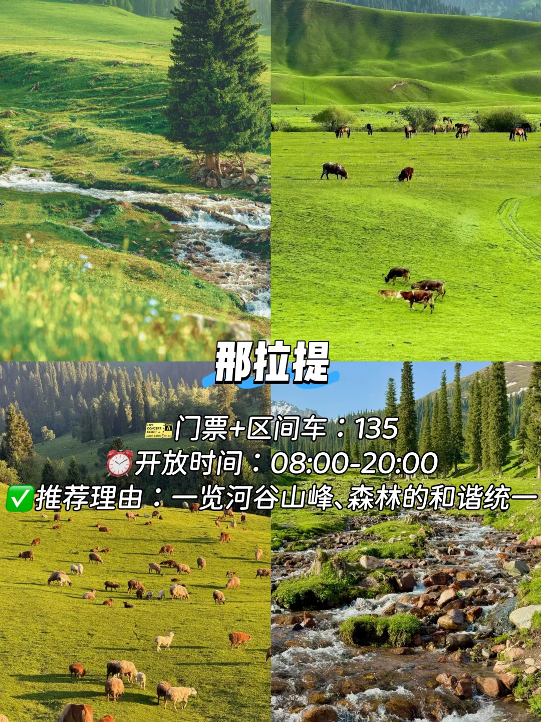 新疆必去9大景点❗❗旅游前必看❗❗