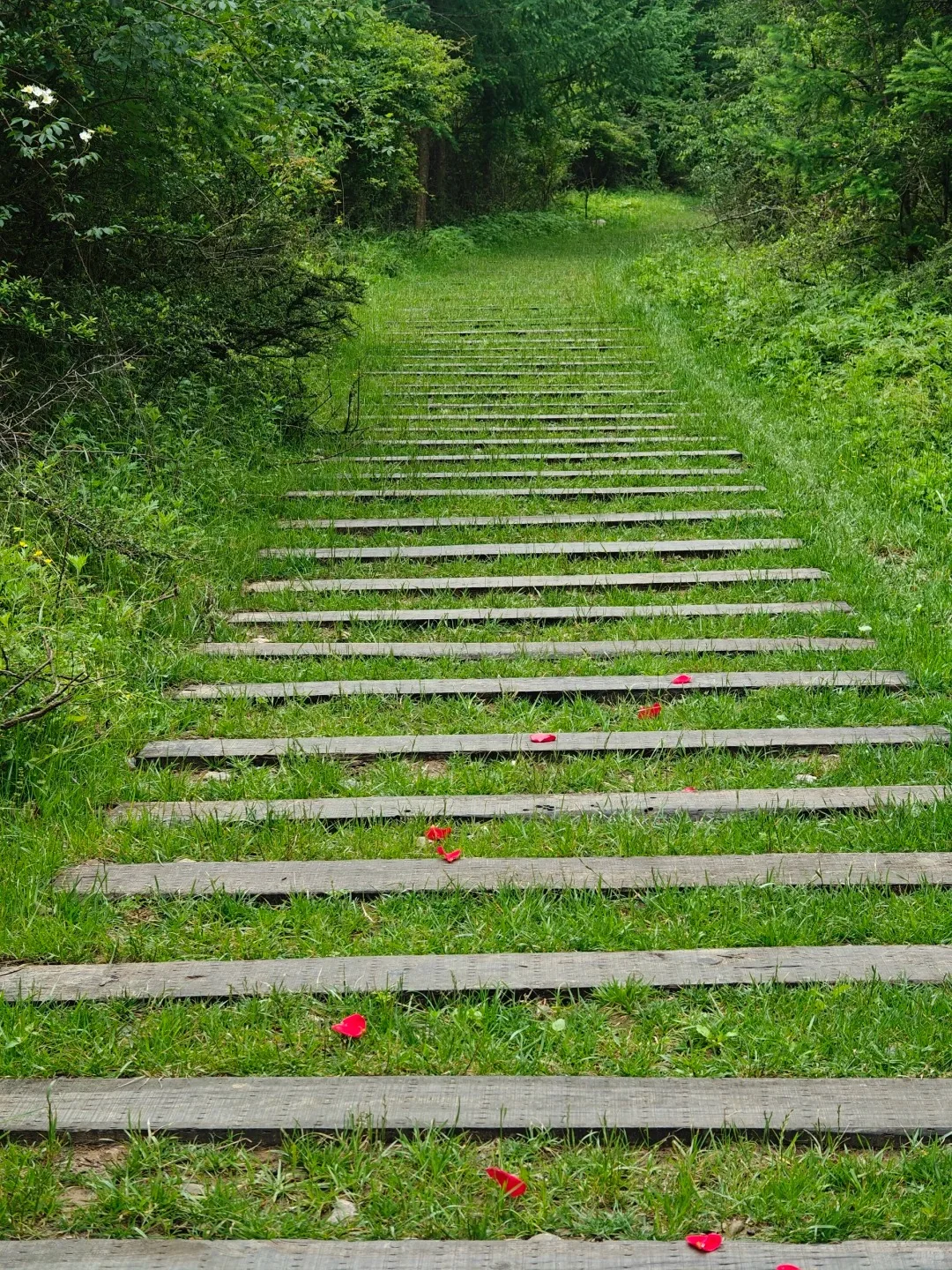 ✨广元9个必打卡景点！