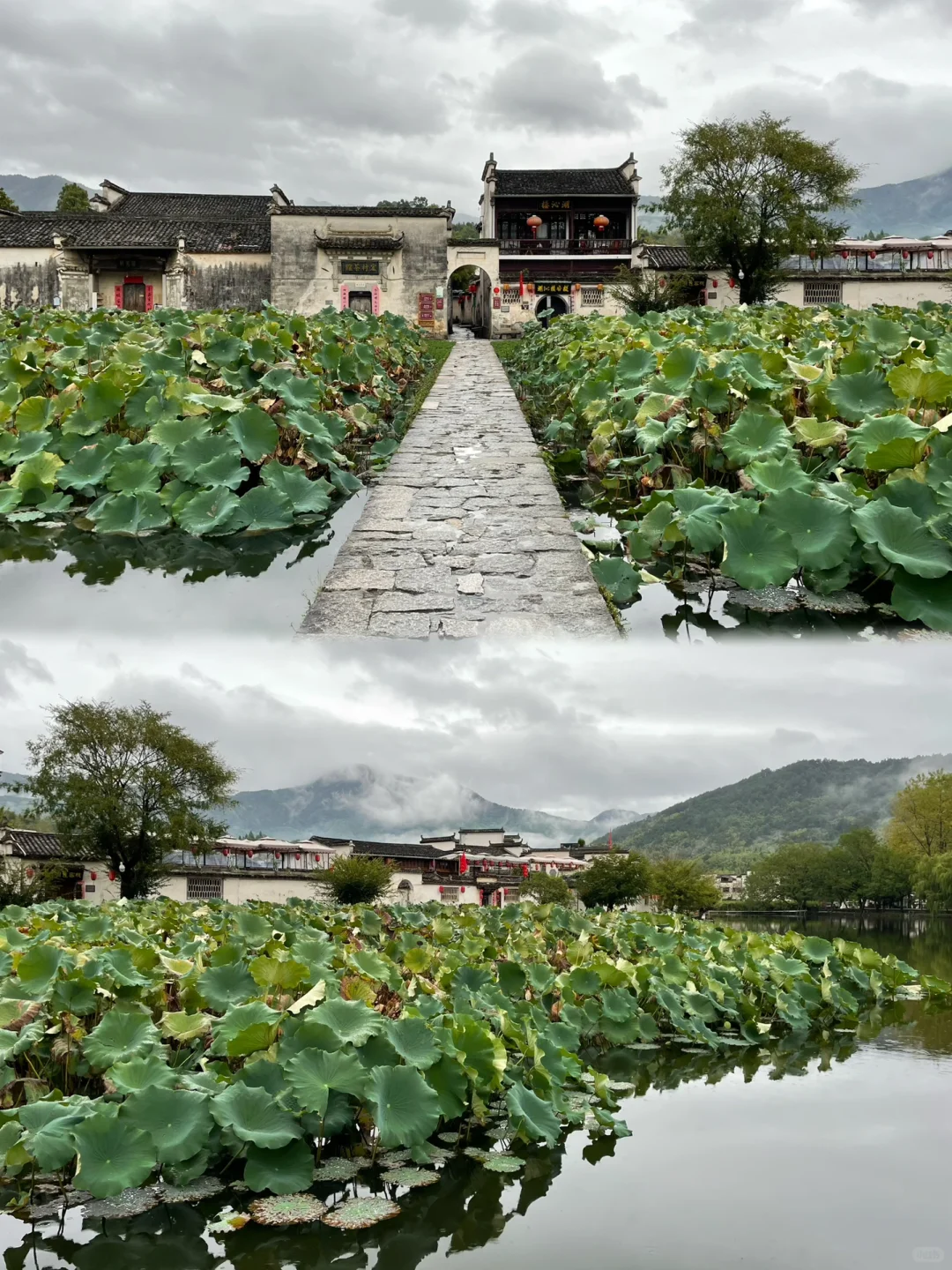 3天2夜｜黄山-宏村-西递 旅游Plog❗️绝对值得