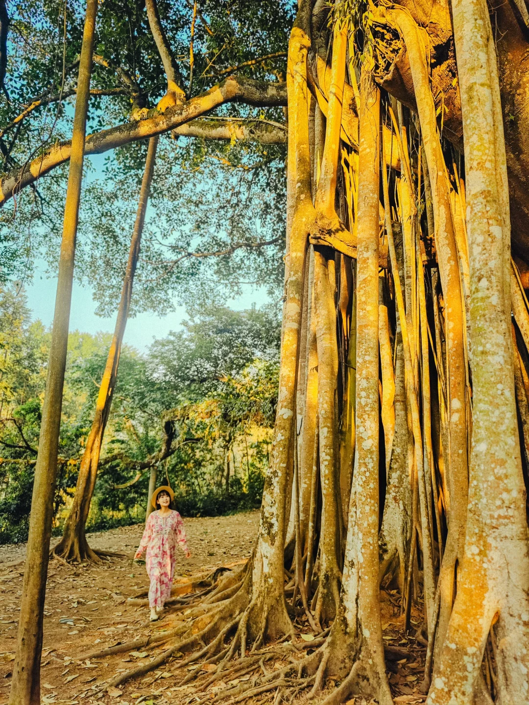 为了这1️⃣8️⃣张图，我专门飞了一趟云南芒市