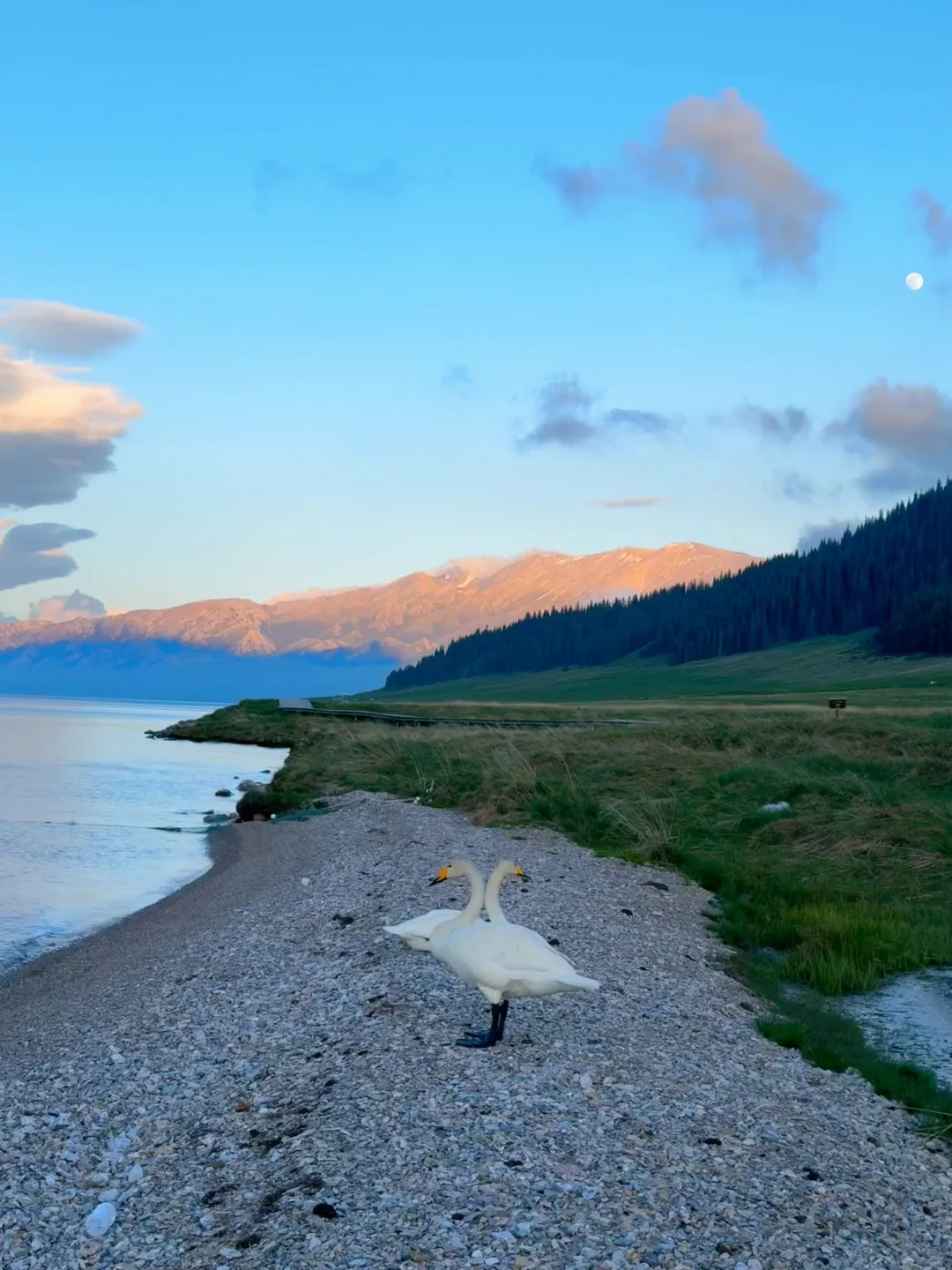 live | 我会反复爱上夏天的新疆