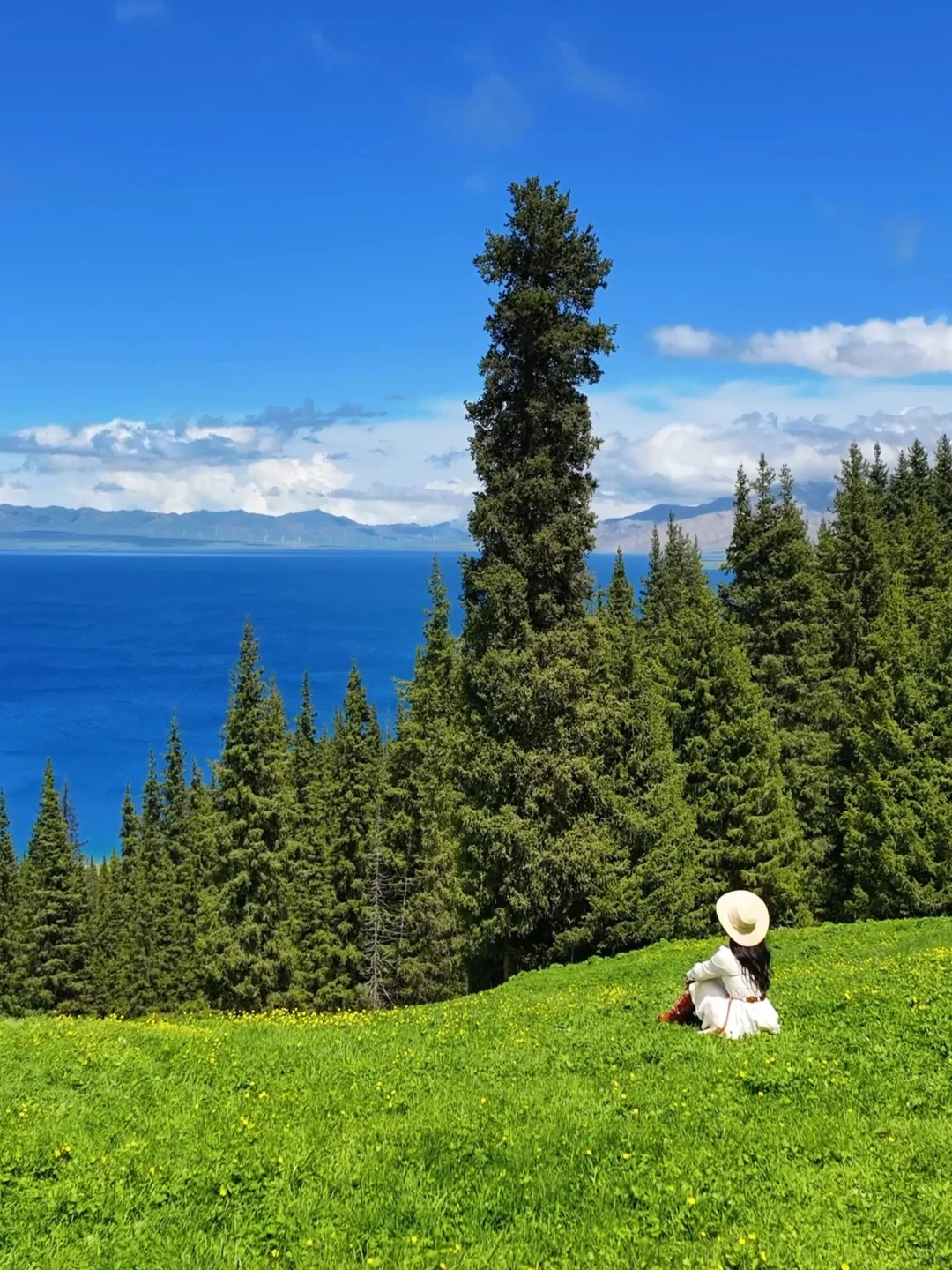 live | 我会反复爱上夏天的新疆