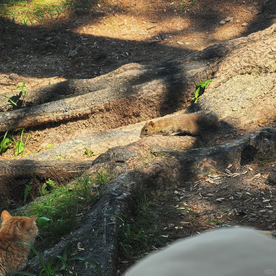 黄山市真的太值了！！！