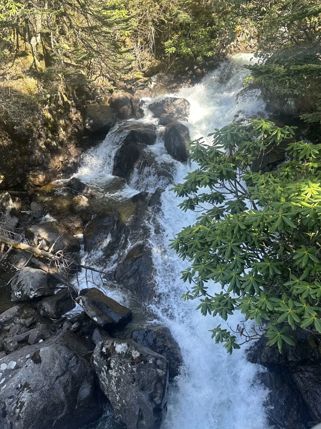 去川西真的不用化妆！！！