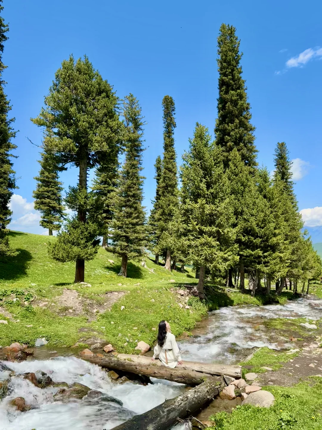 live | 我会反复爱上夏天的新疆