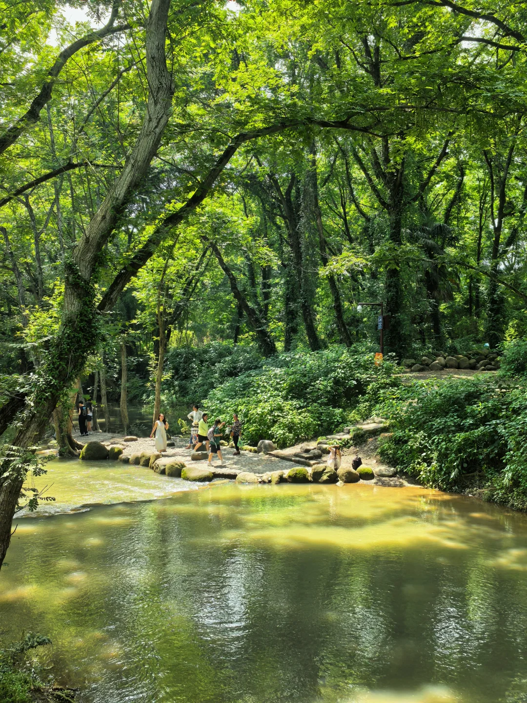 黄山市真的太值了！！！