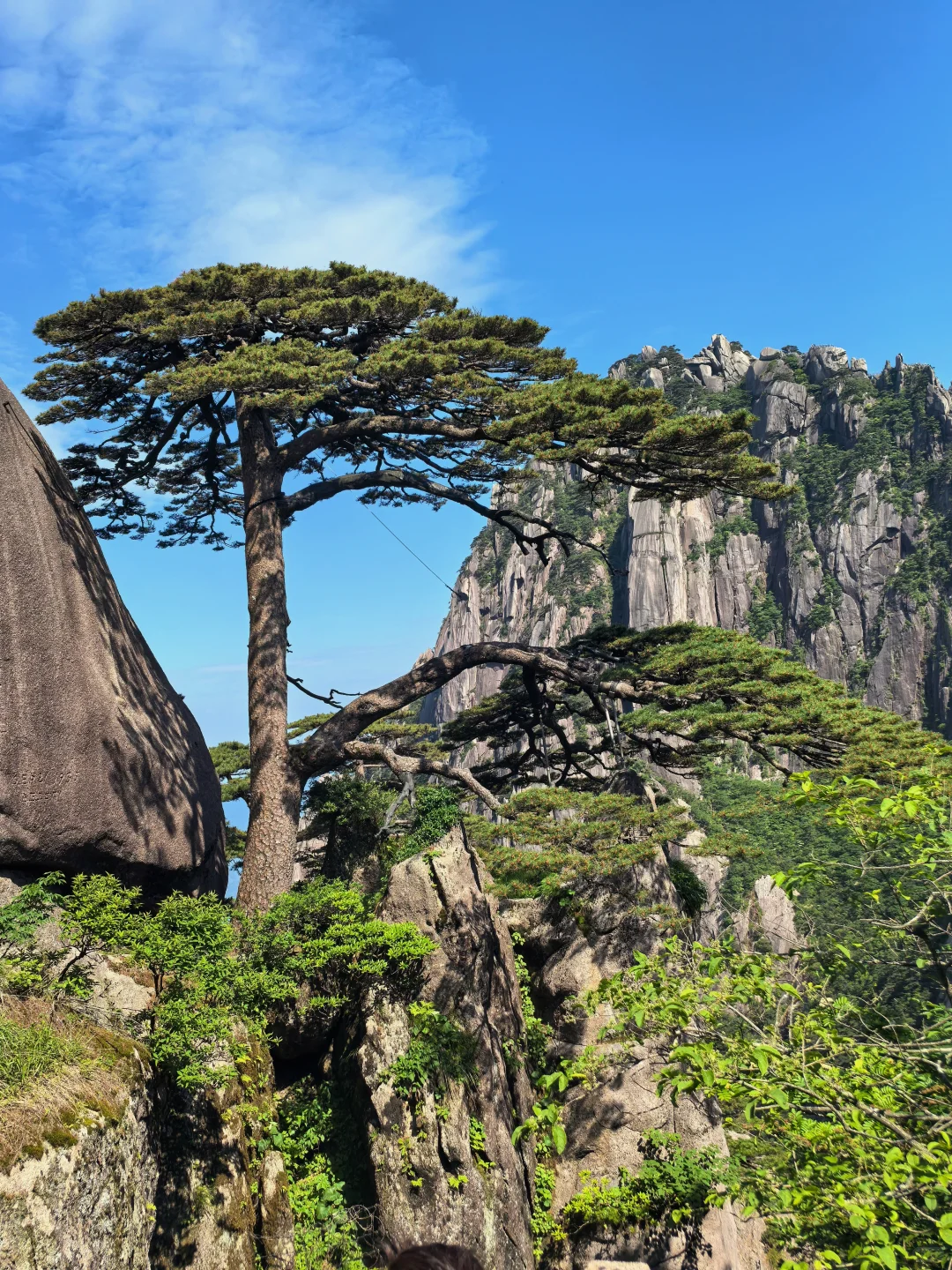 黄山市真的太值了！！！
