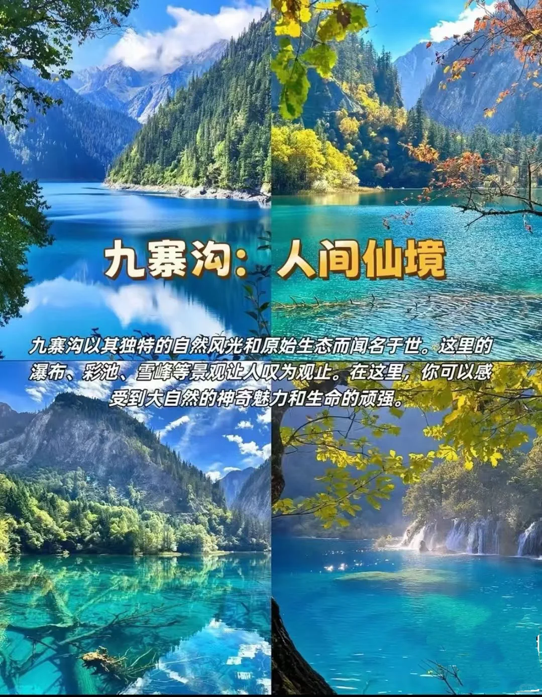 💦7-8月国内避暑胜地推荐💦