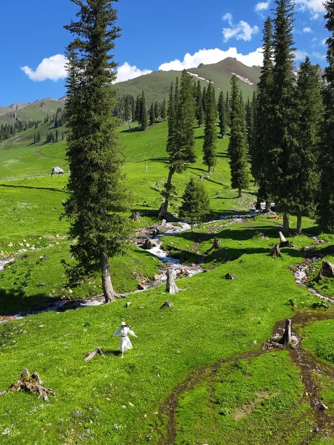 live | 我会反复爱上夏天的新疆