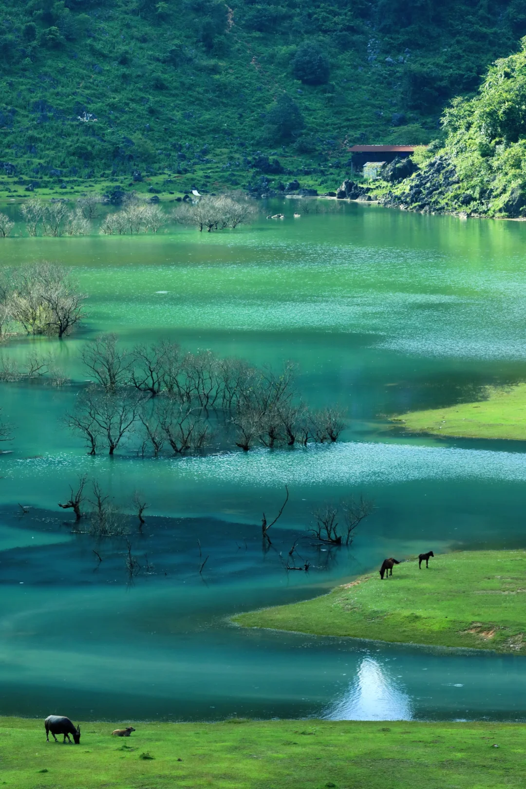 去不了新疆，去百色也行呀