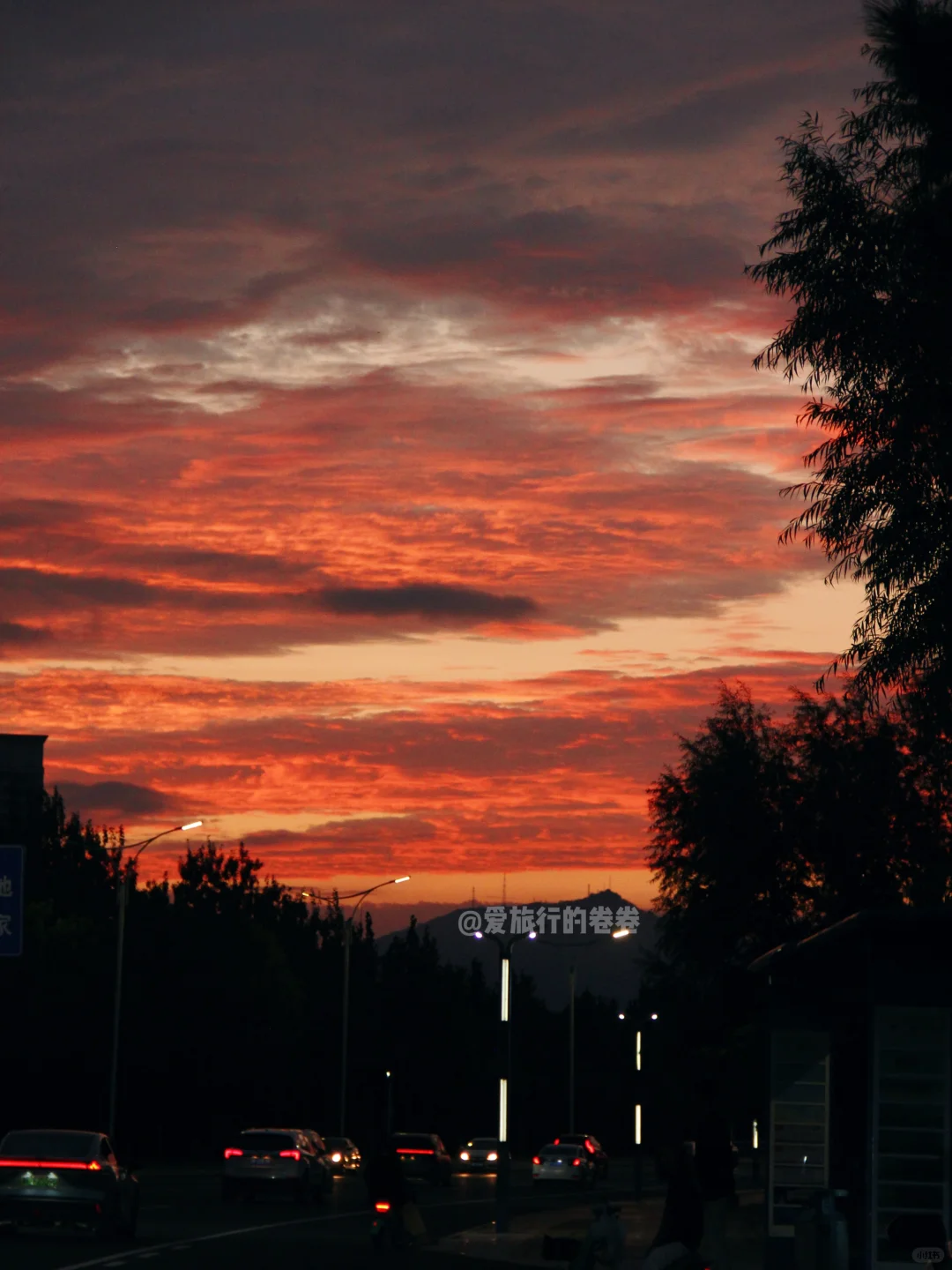 山东省环游路线‼️路费400+💰玩8座市
