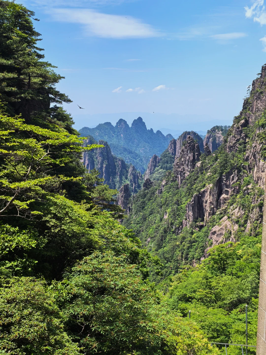 黄山市真的太值了！！！