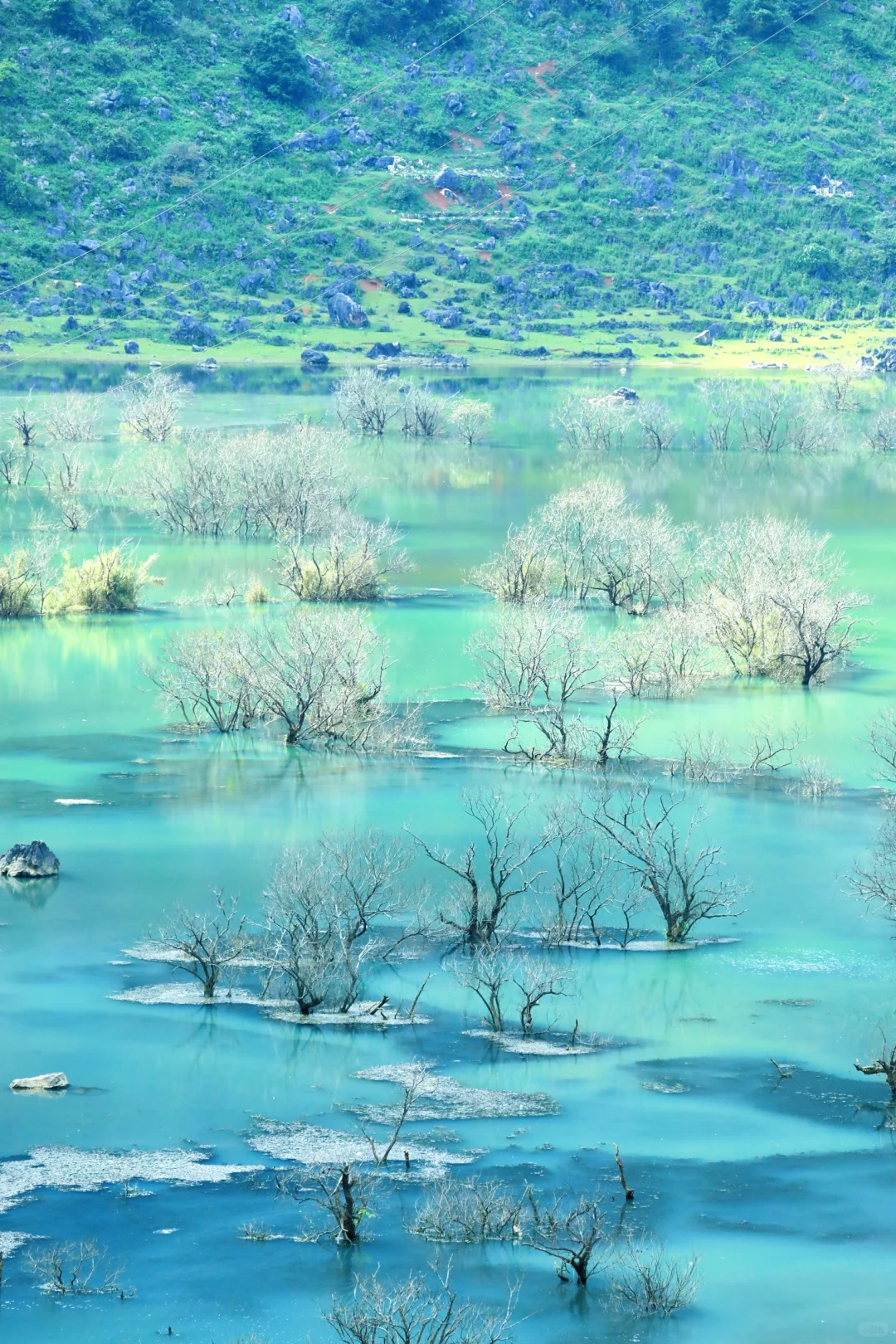 去不了新疆，去百色也行呀