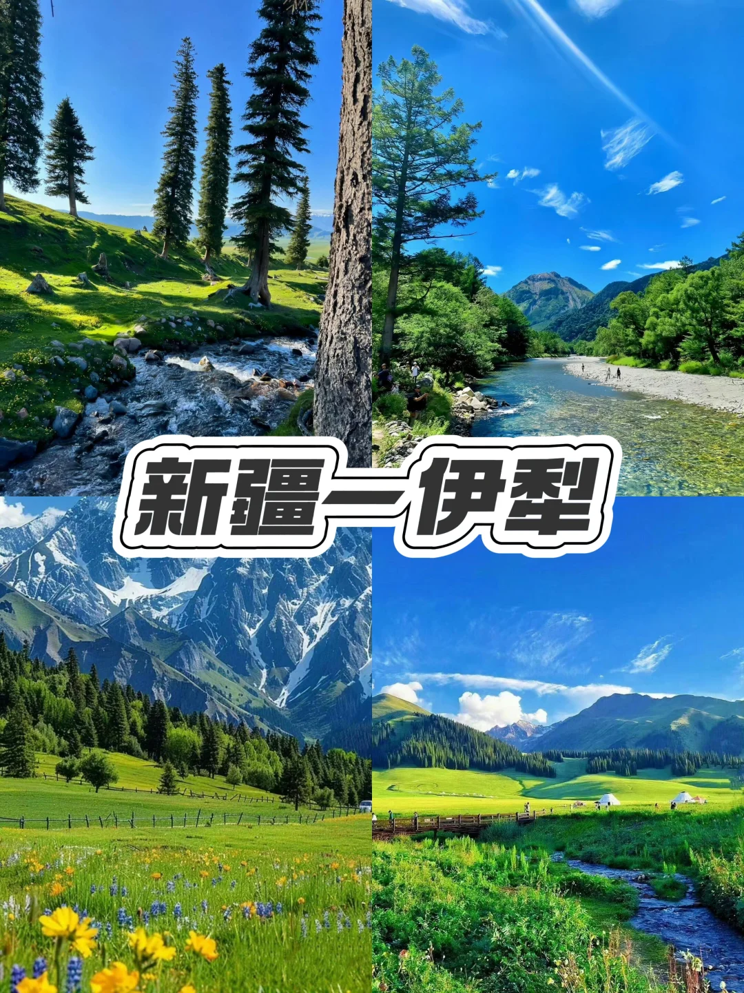 强推‼️暑假亲子游必去的9个城市‼️💢