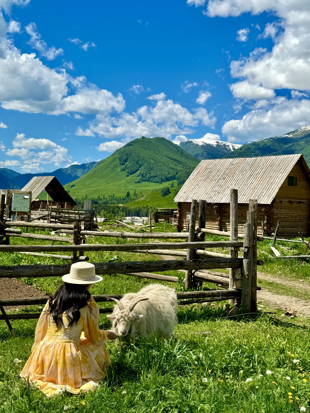 live | 我会反复爱上夏天的新疆