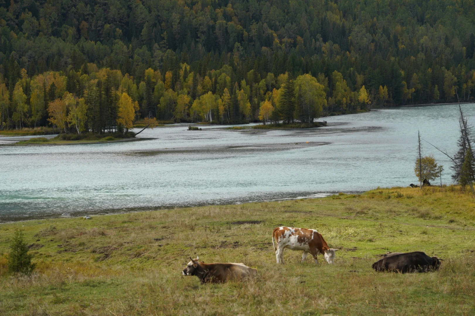 中国顶级自然风光+对应季节