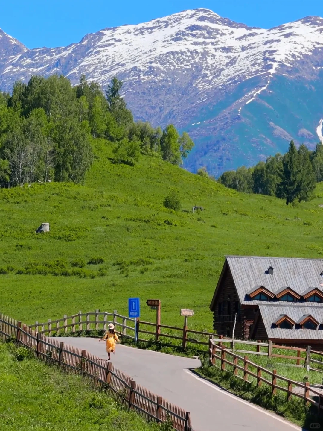 live | 我会反复爱上夏天的新疆