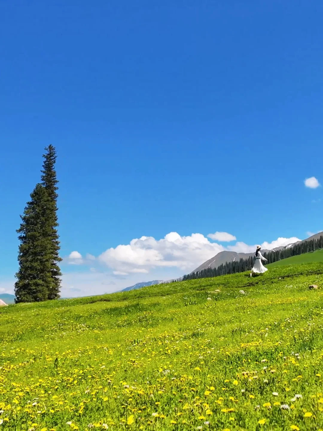 live | 我会反复爱上夏天的新疆