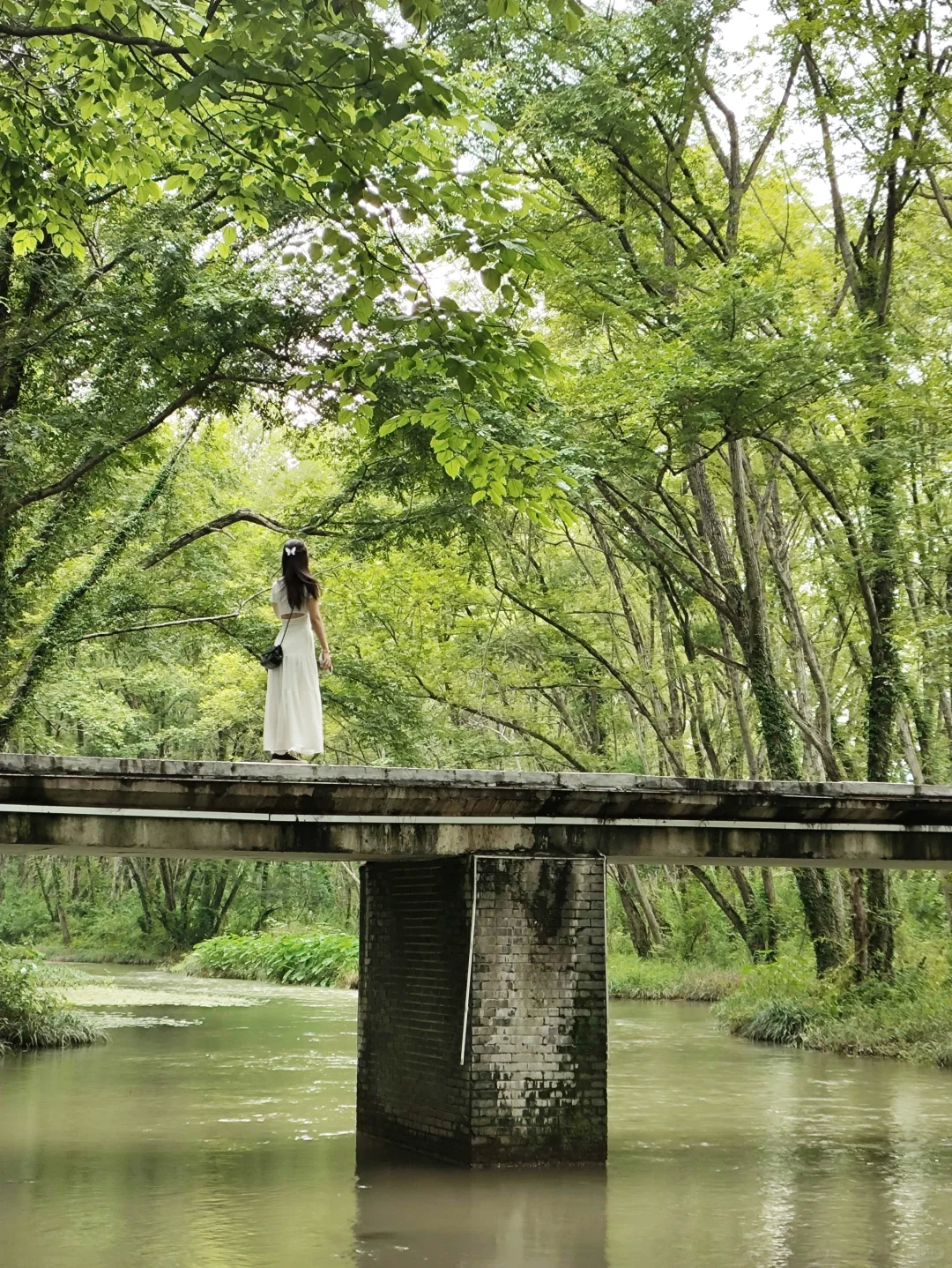 黄山市真的太值了！！！
