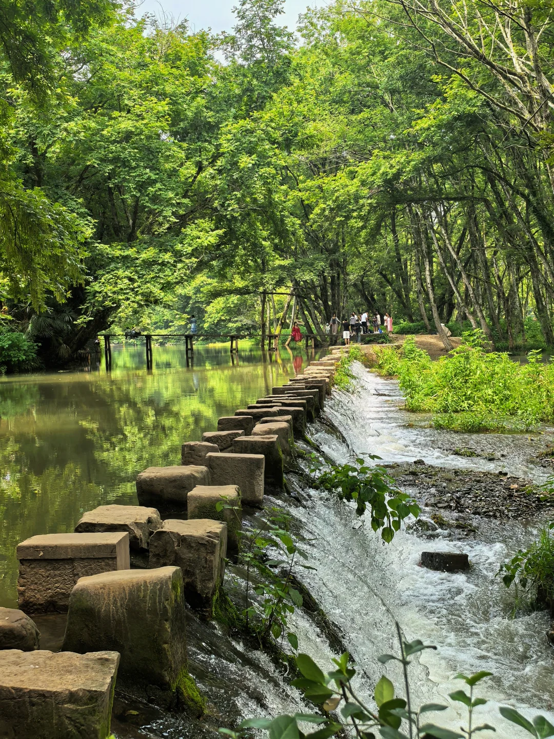 黄山市真的太值了！！！