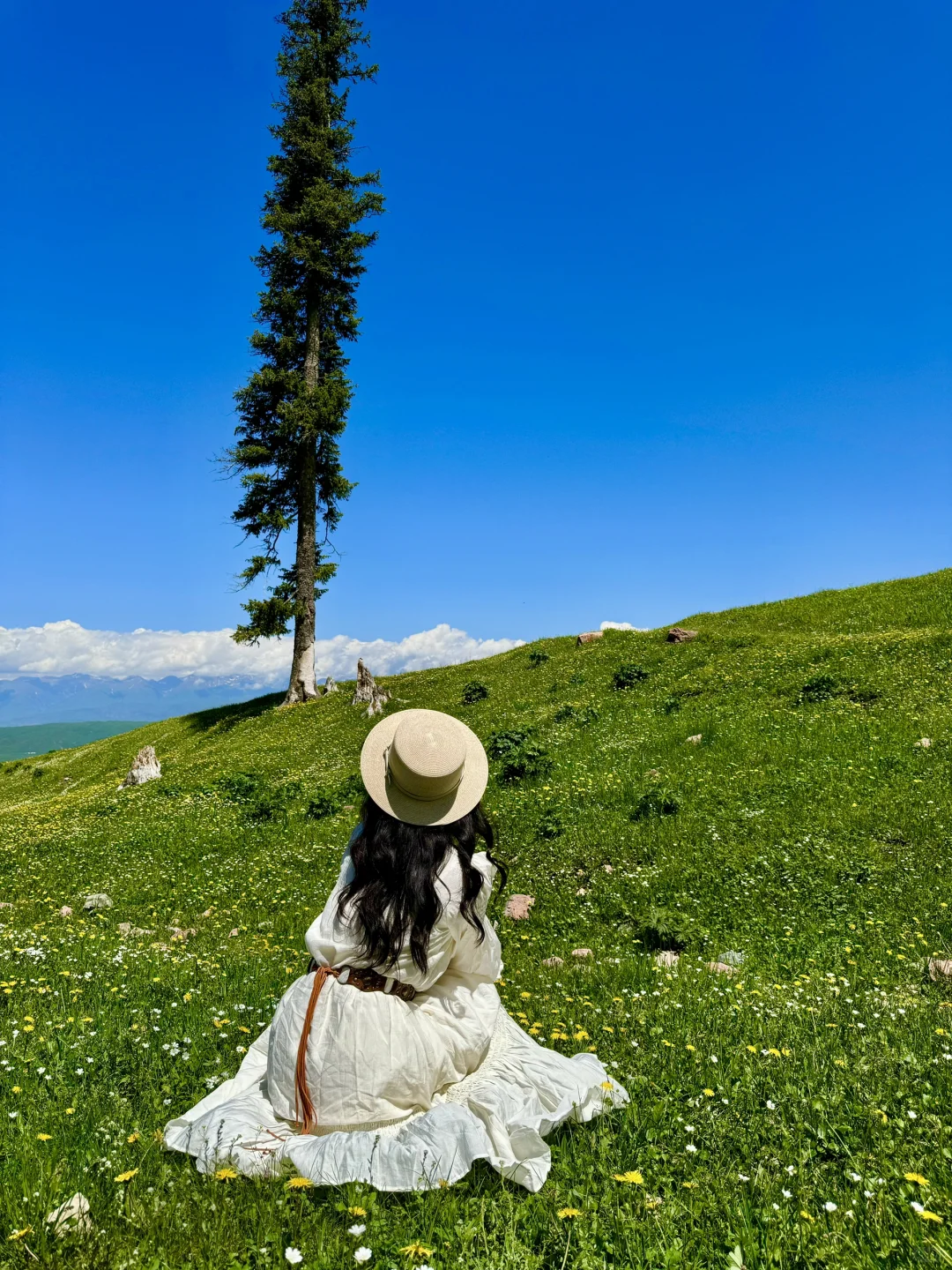 live | 我会反复爱上夏天的新疆