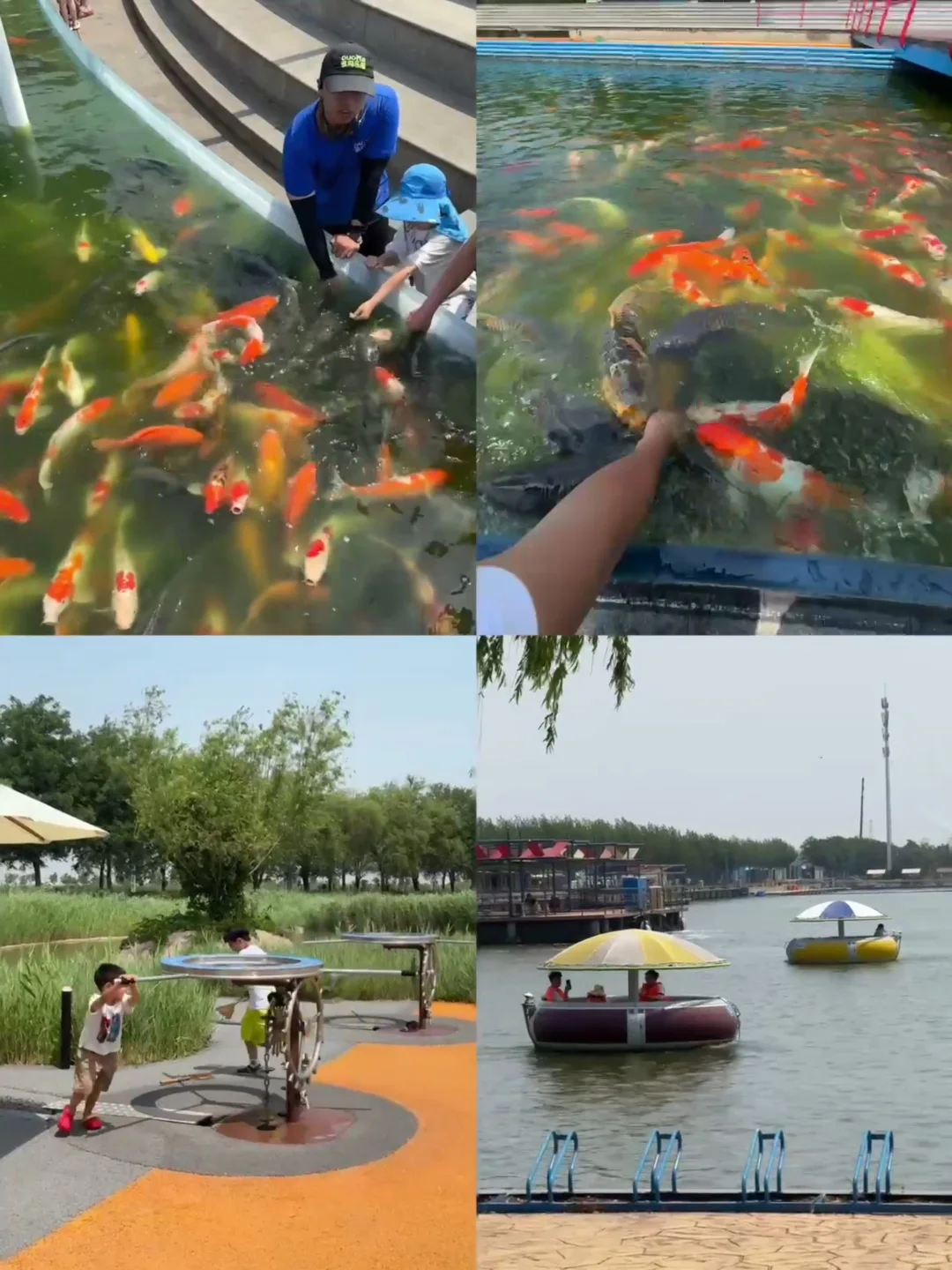 今年去过最舒服的海边小城，真的好怕它火🥹