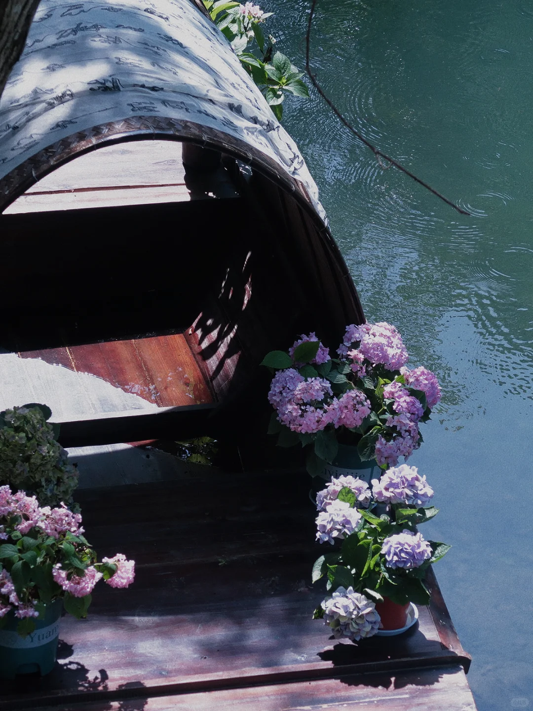 📍在安徽池州| 这真的不是照骗吗.....🥹