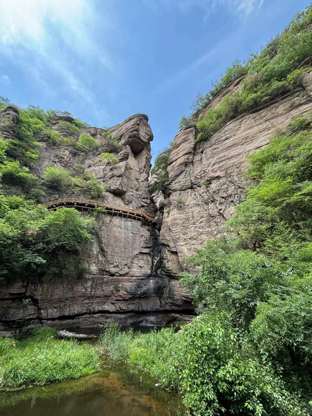 在洛阳恢复能量的100件小事（78/100）