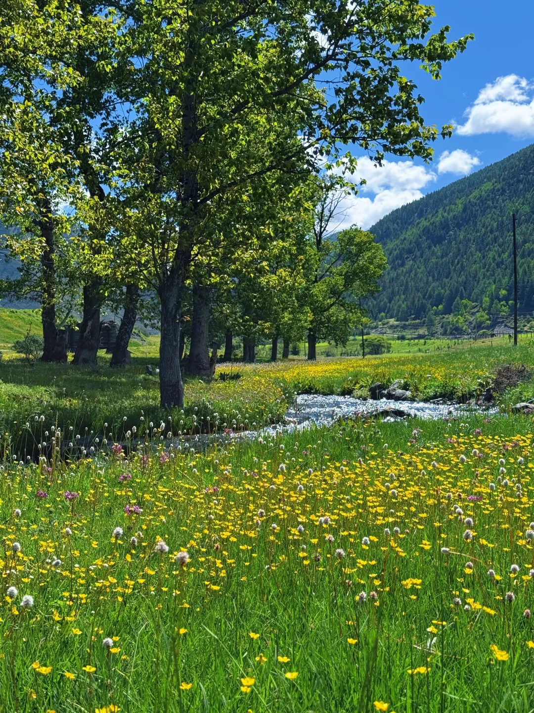 甲根坝纳梯村实拍！