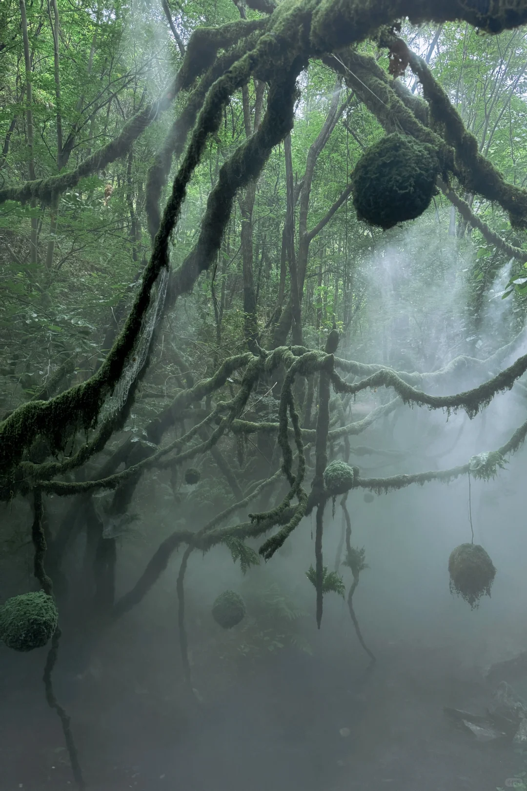 河南绿野仙踪秘境🌳重渡沟2日游拍照攻略