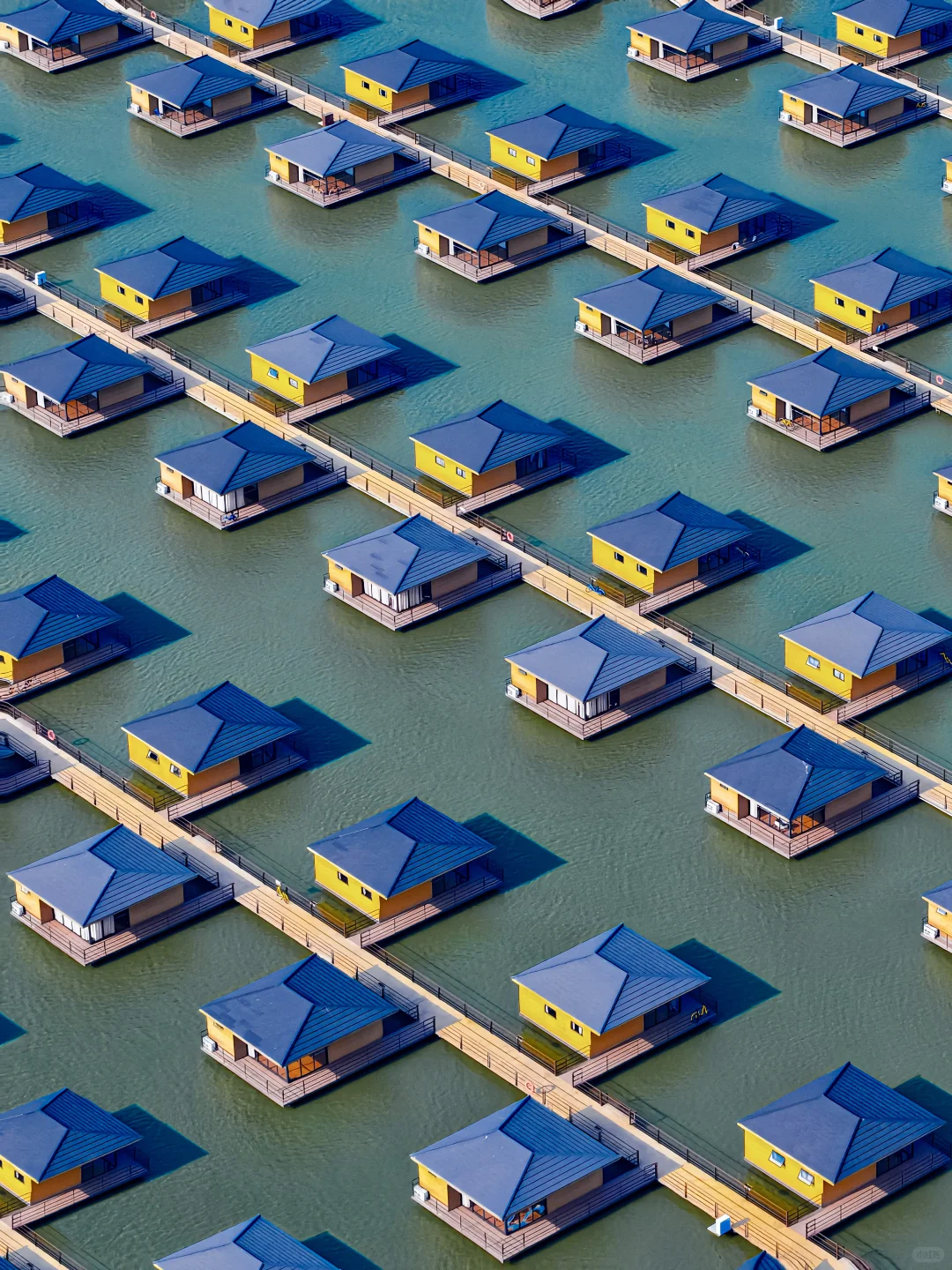 今年去过最舒服的海边小城，真的好怕它火🥹