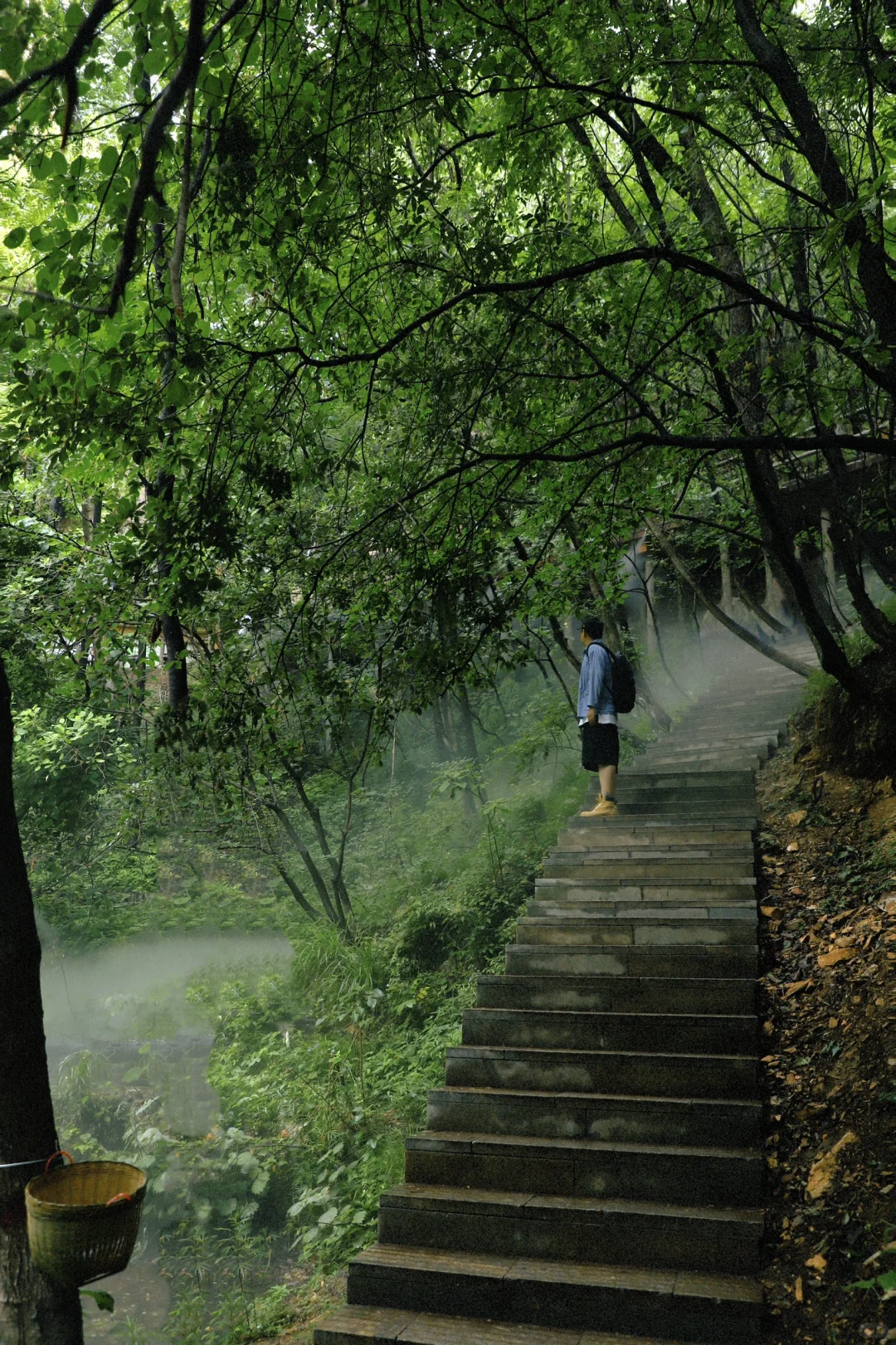 河南绿野仙踪秘境🌳重渡沟2日游拍照攻略