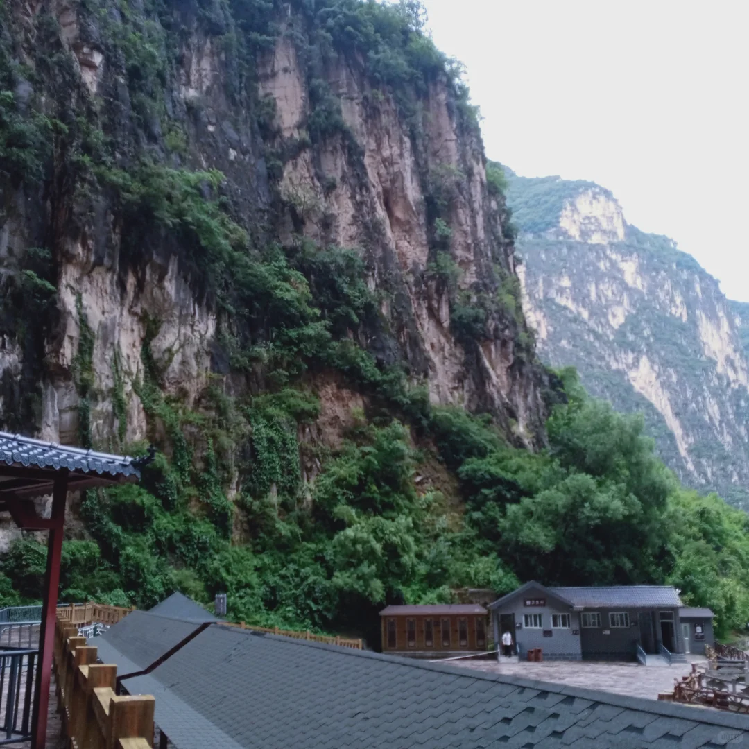 在景区打暑假工有多爽