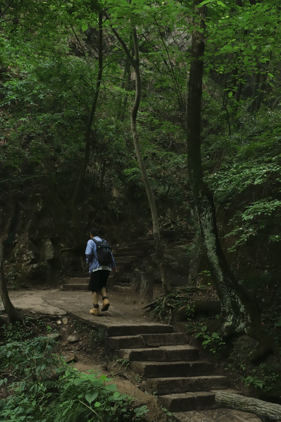 河南绿野仙踪秘境🌳重渡沟2日游拍照攻略