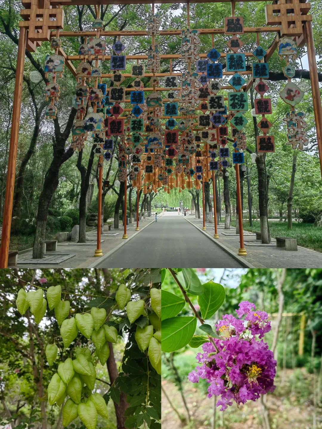 🌸 邯郸丛台公园攻略｜0元穿越2300年！