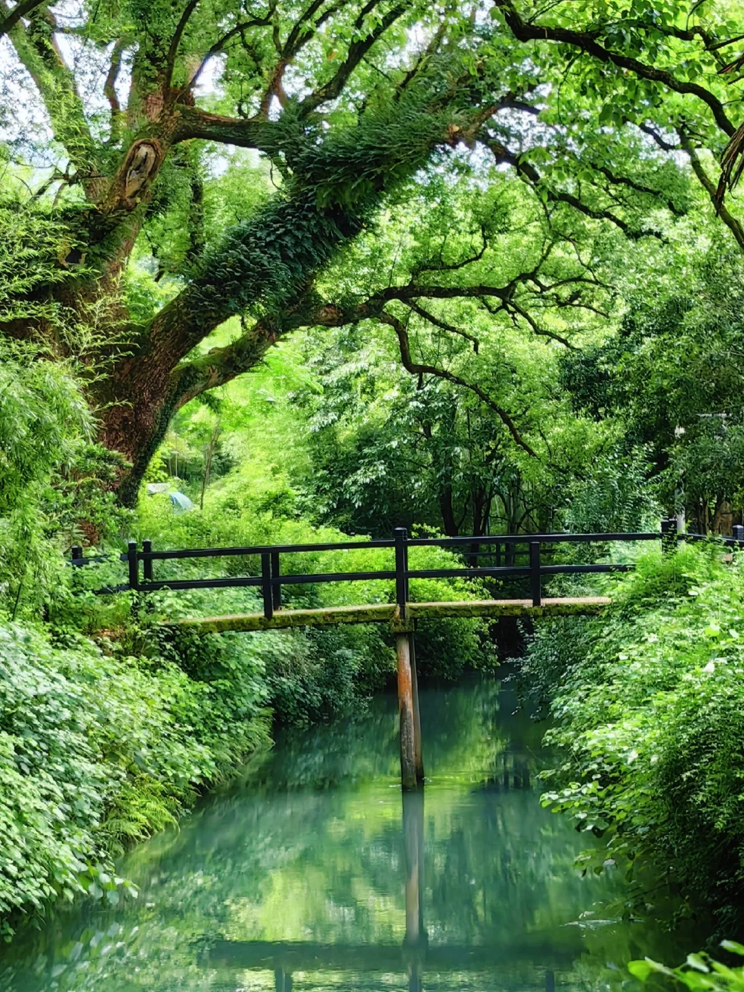 3日逃离人海｜人少景美丽水小众秘境全攻略