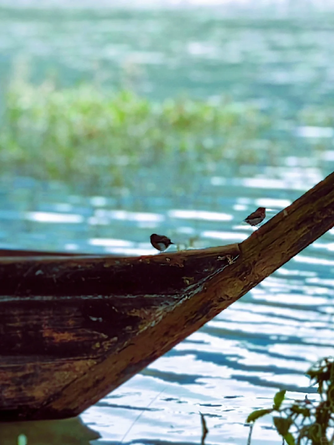 3日逃离人海｜人少景美丽水小众秘境全攻略