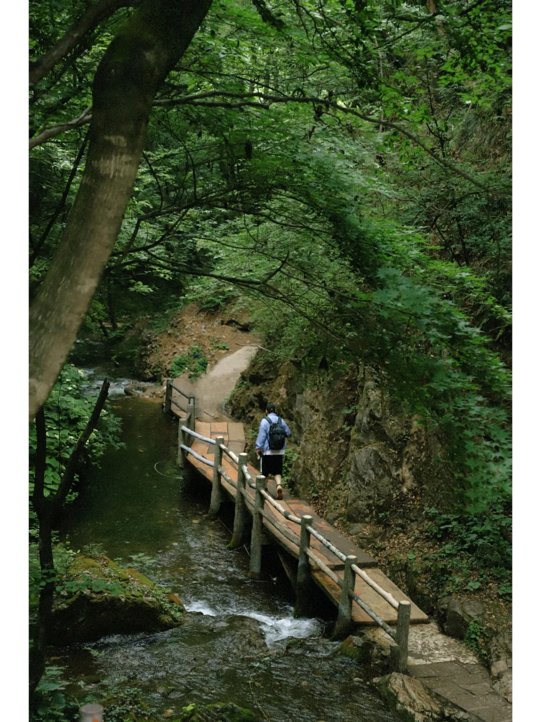 河南绿野仙踪秘境🌳重渡沟2日游拍照攻略