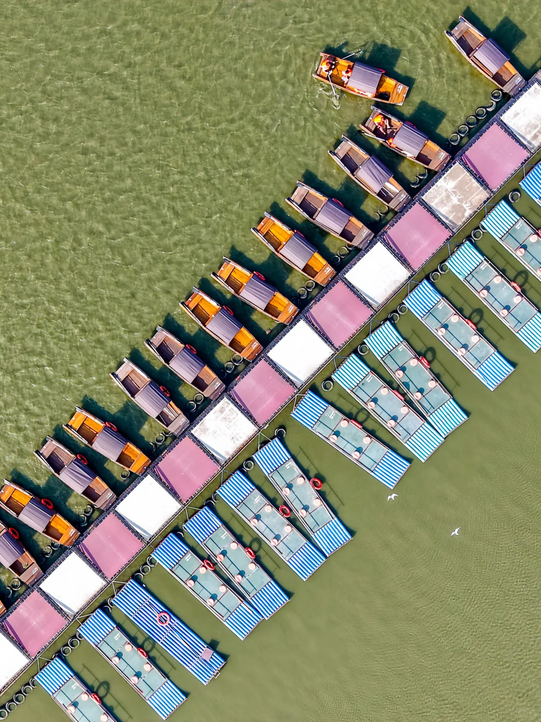 今年去过最舒服的海边小城，真的好怕它火🥹