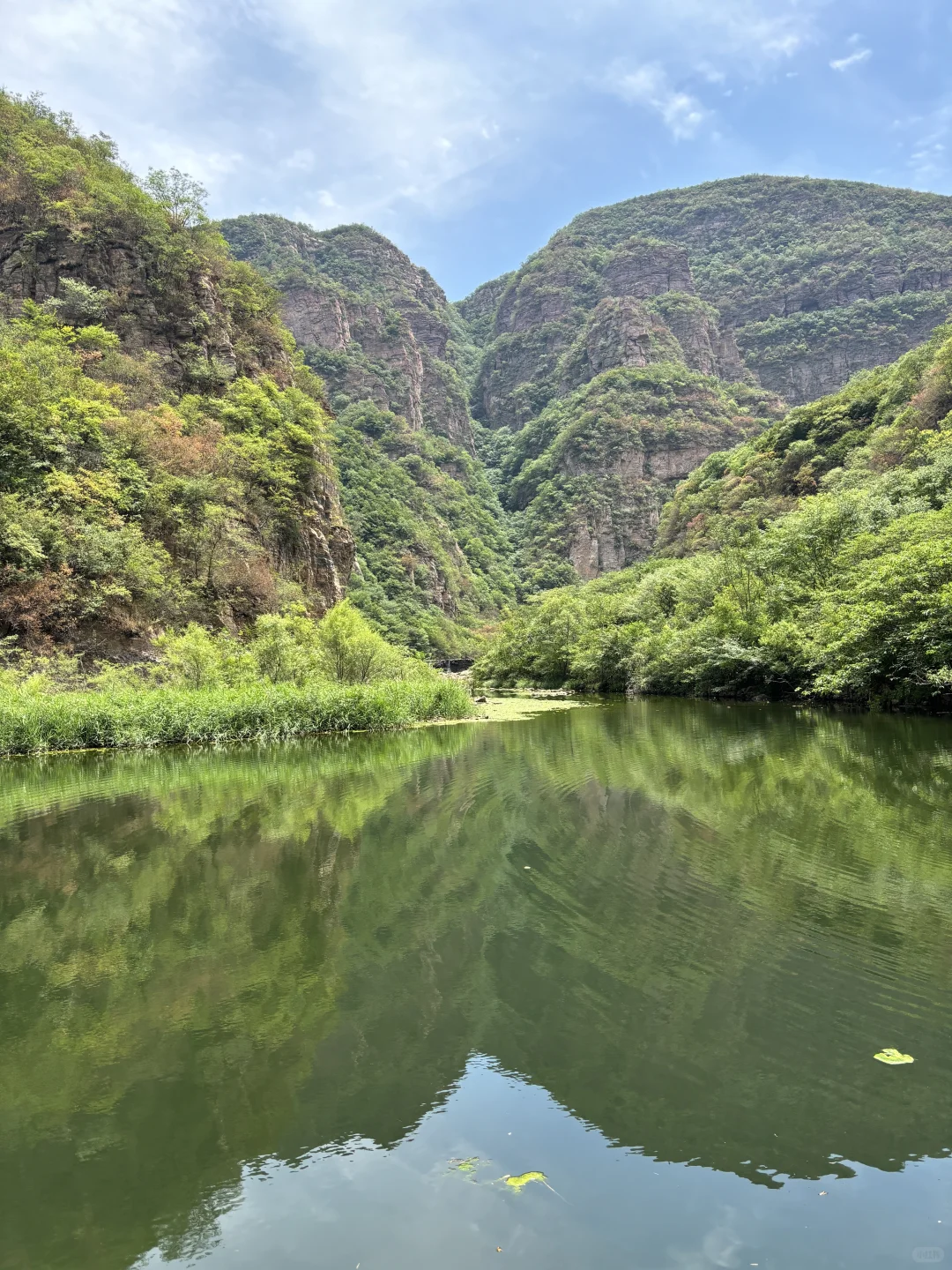 在洛阳恢复能量的100件小事（78/100）