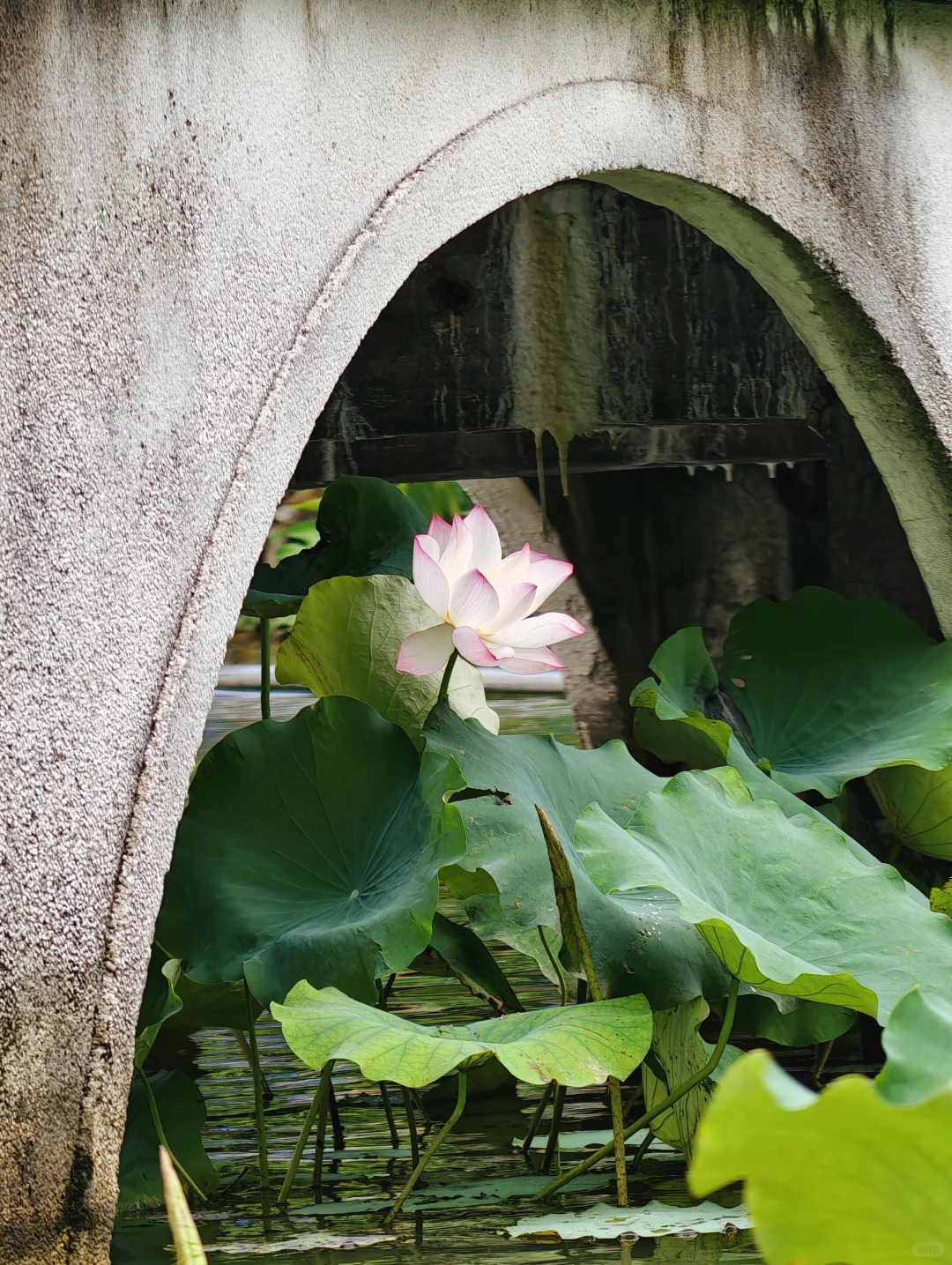 肇庆「七星岩」一日游