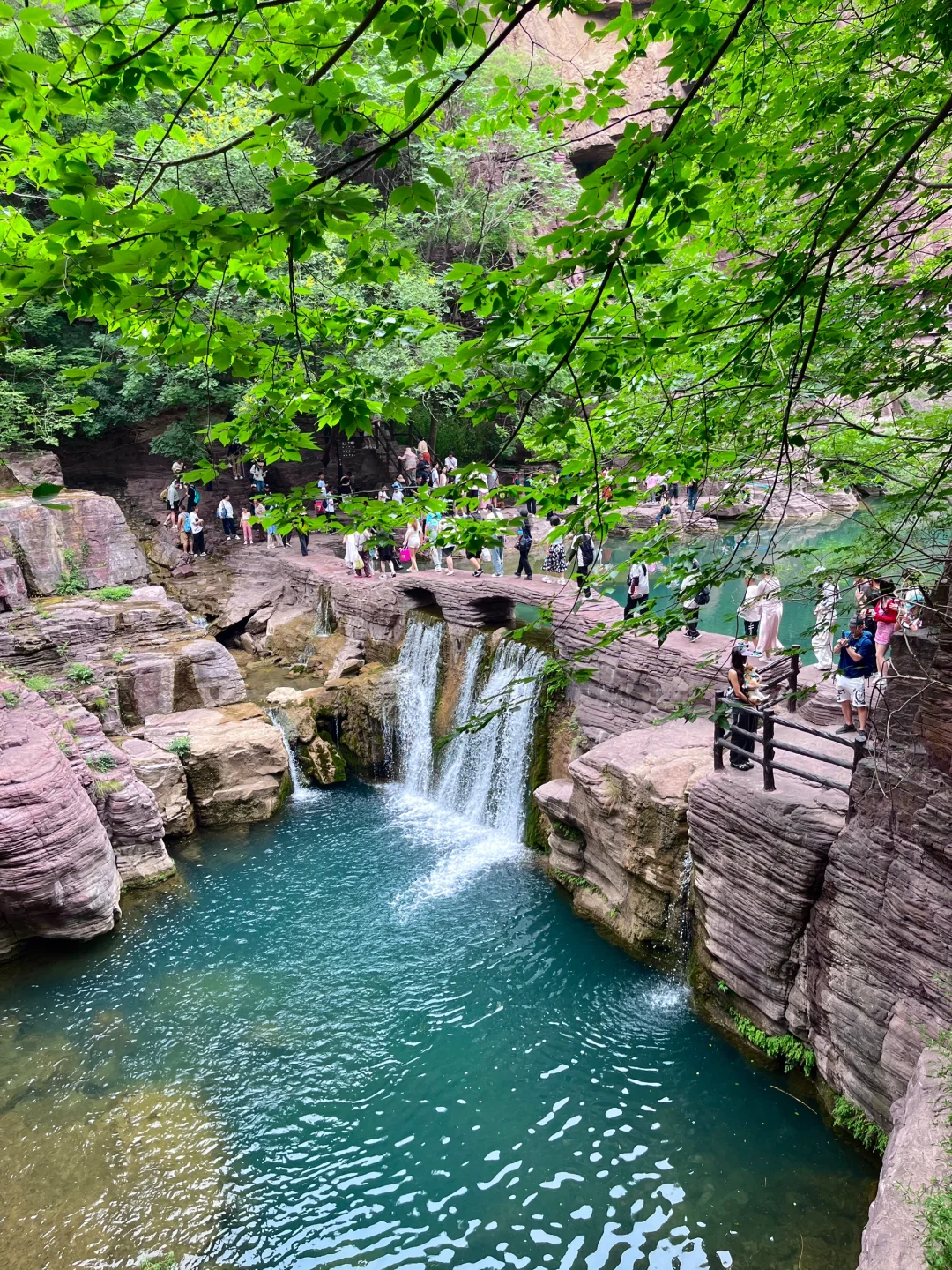 📍⛰️云台山!免门票!!!泰好玩啦……
