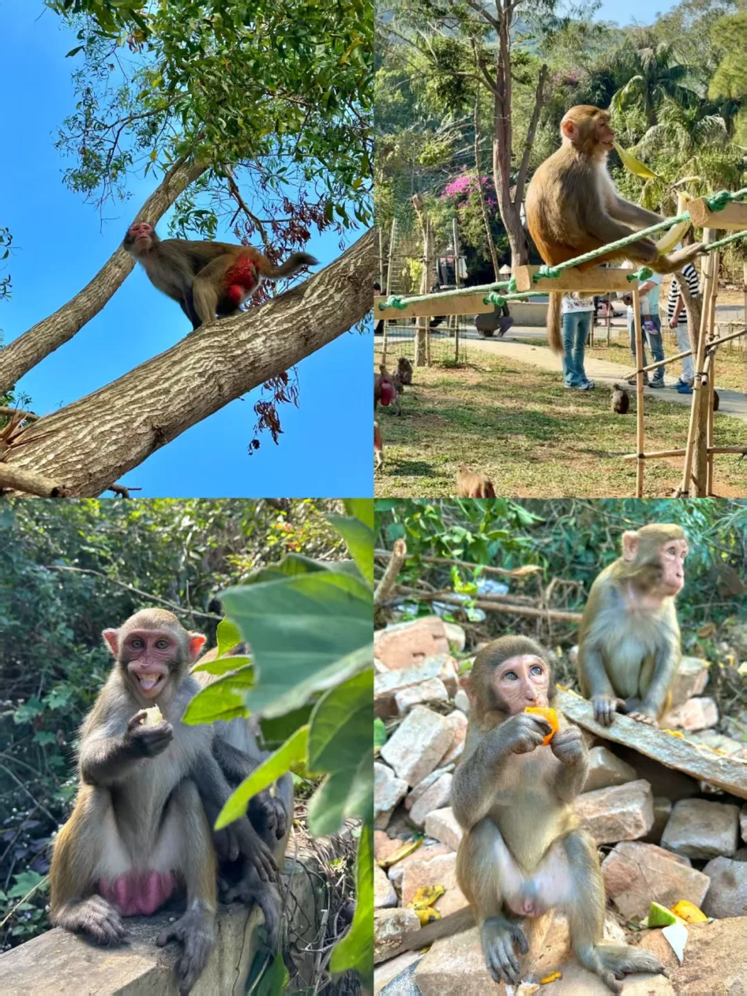 陵水旅游刚回一周 说说掏心窝子的建议...