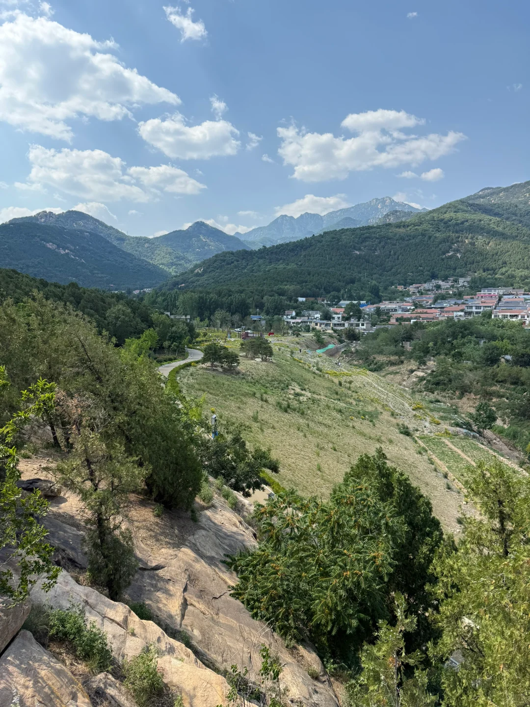 藏在泰山脚下的阿勒泰！这座宝藏公园我🔒4️⃣