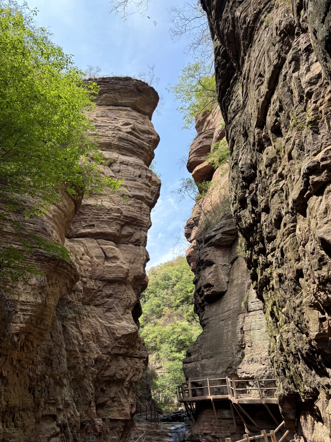 在洛阳恢复能量的100件小事（78/100）