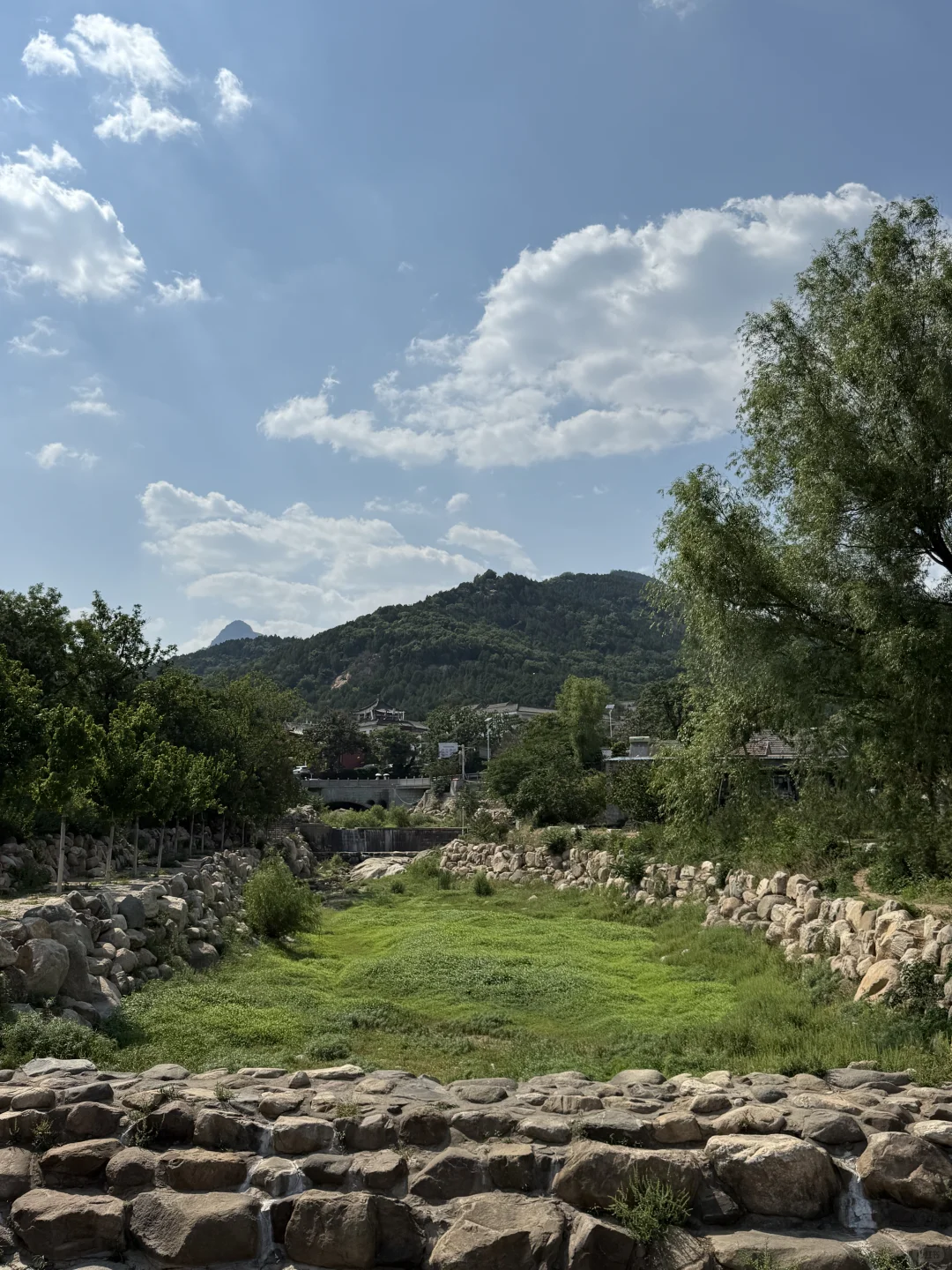 藏在泰山脚下的阿勒泰！这座宝藏公园我🔒4️⃣