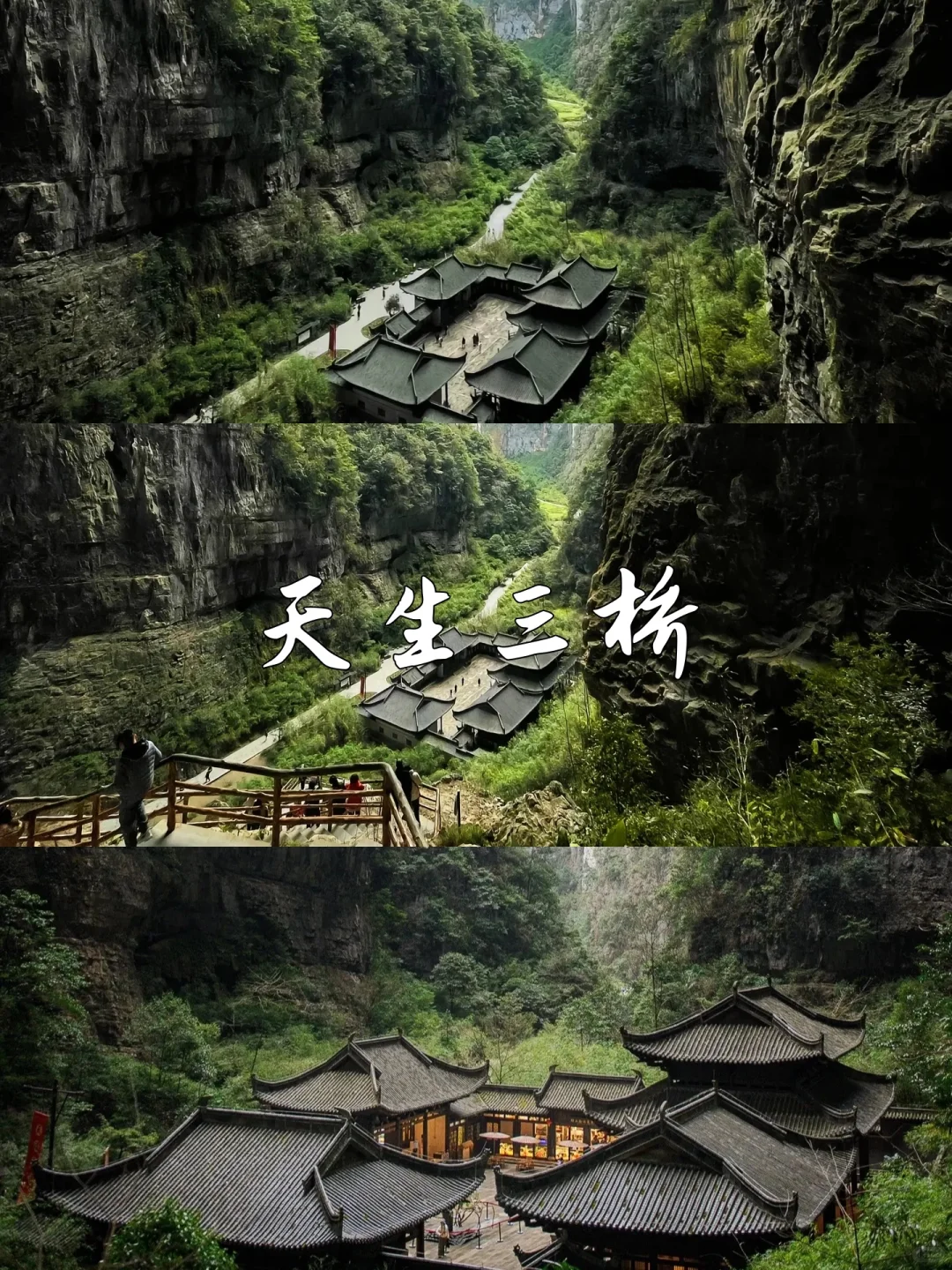 武隆天坑地缝！仙女山奔跑！一日游封神